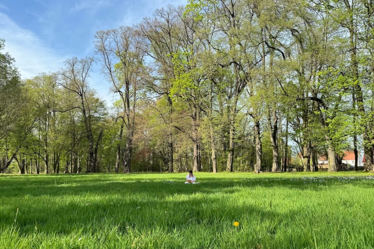 park krajobrazowy w Targoszynie Eduard Petzold