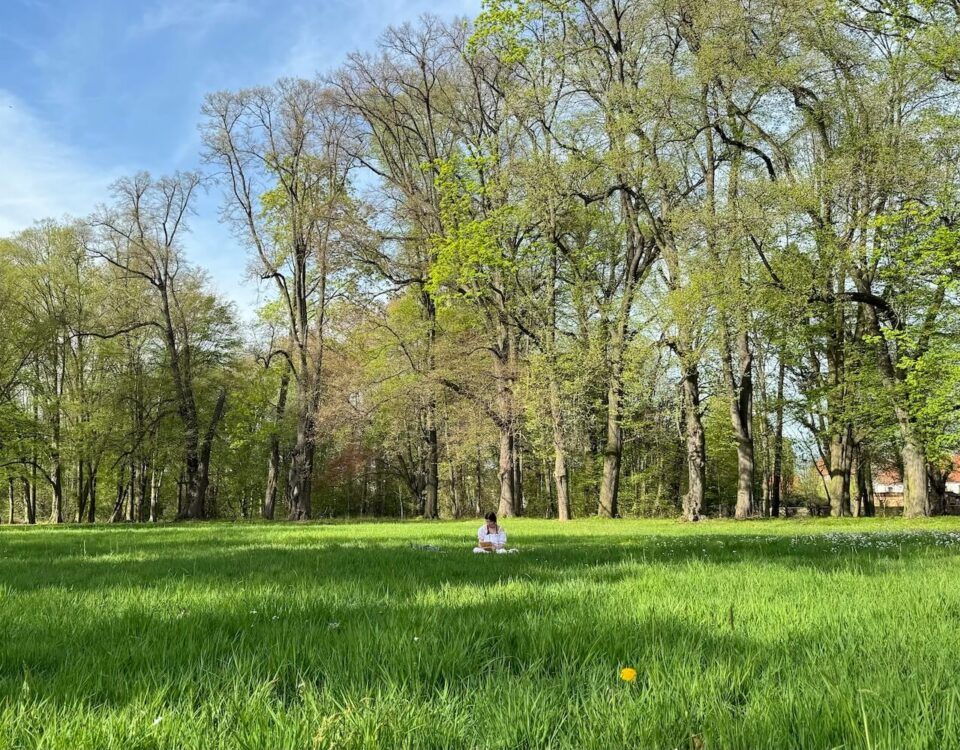 park krajobrazowy w Targoszynie Eduard Petzold