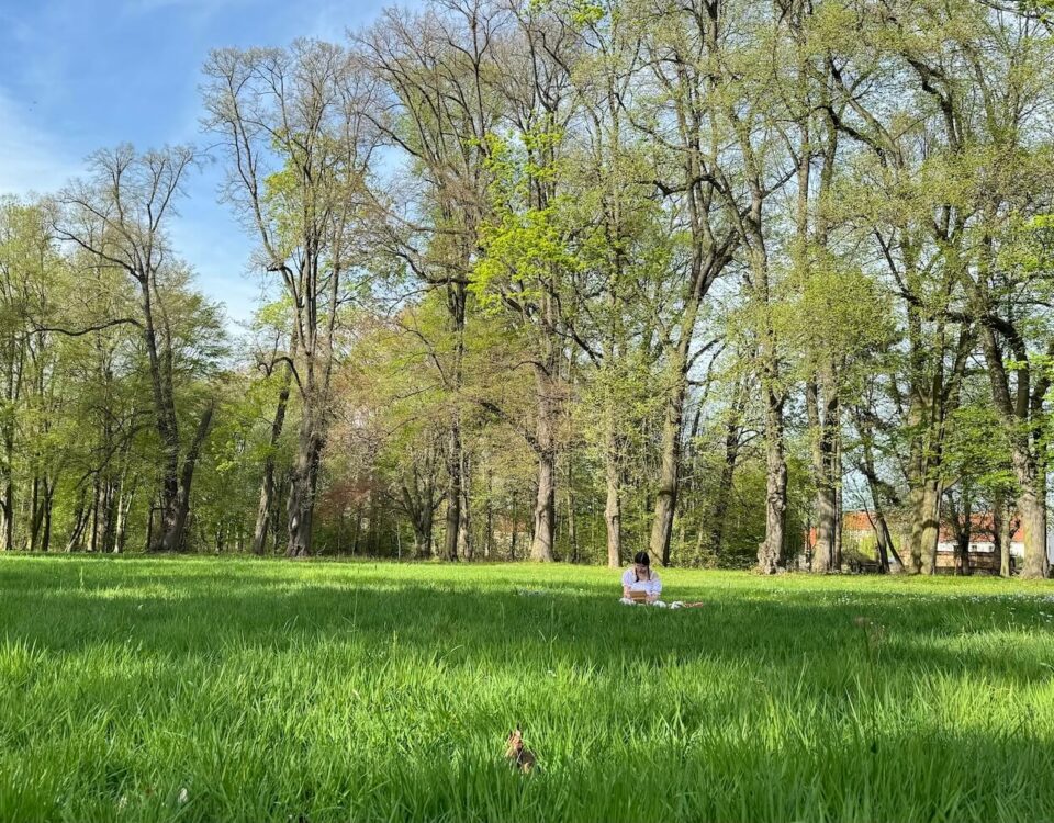 park i łąka w Targoszynie zielona psychologia