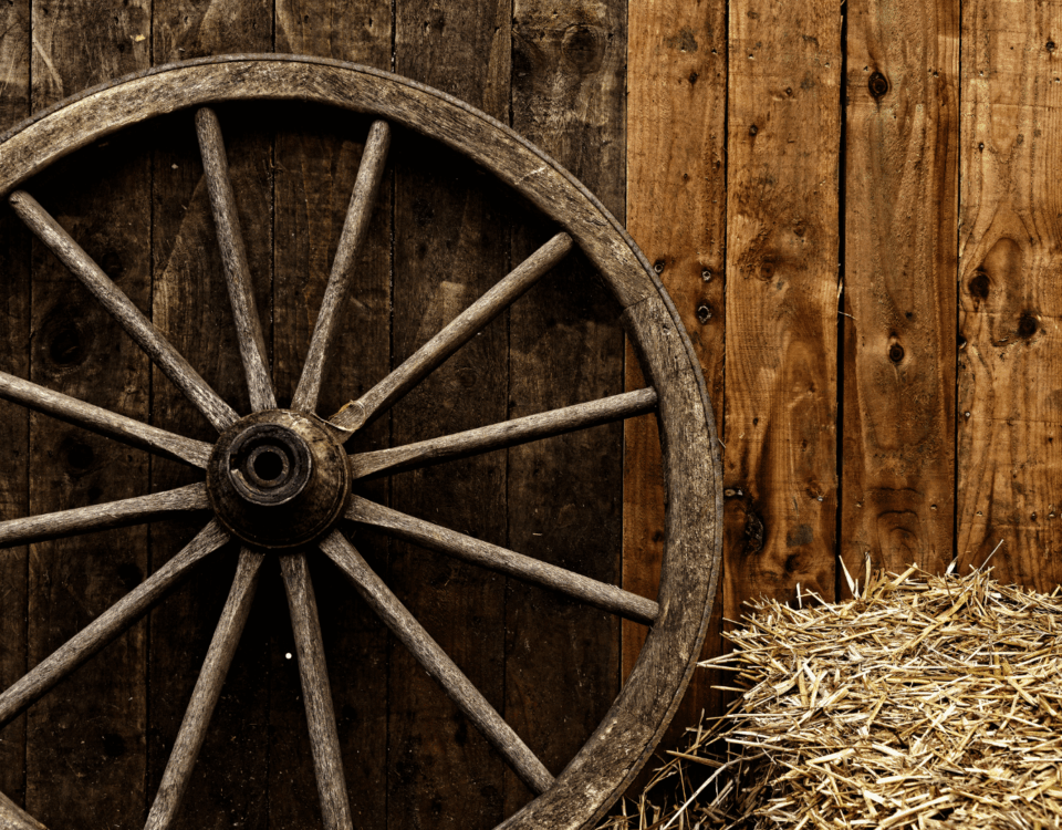 średniowiecze codzienne życie mieszkańców Targoszyna