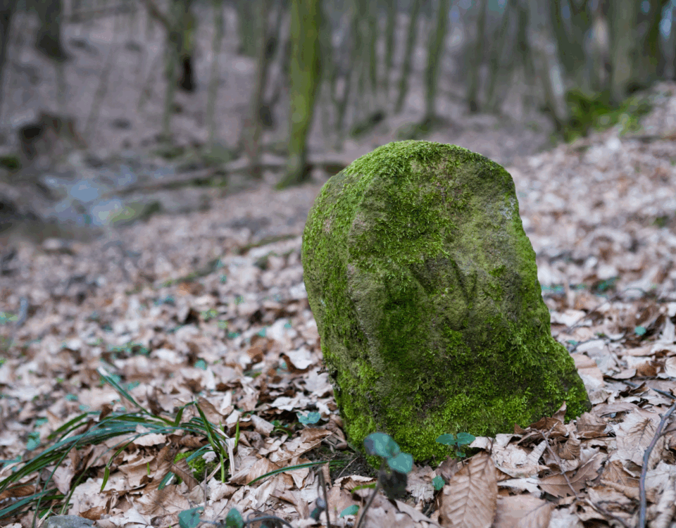 stary kamień graniczny pałac w targoszynie