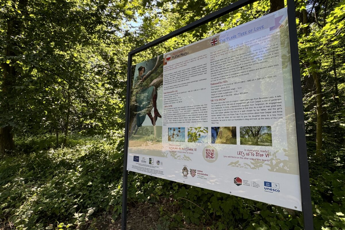 tablica na ścieżce edukacyjnej Pałac w Targoszynie