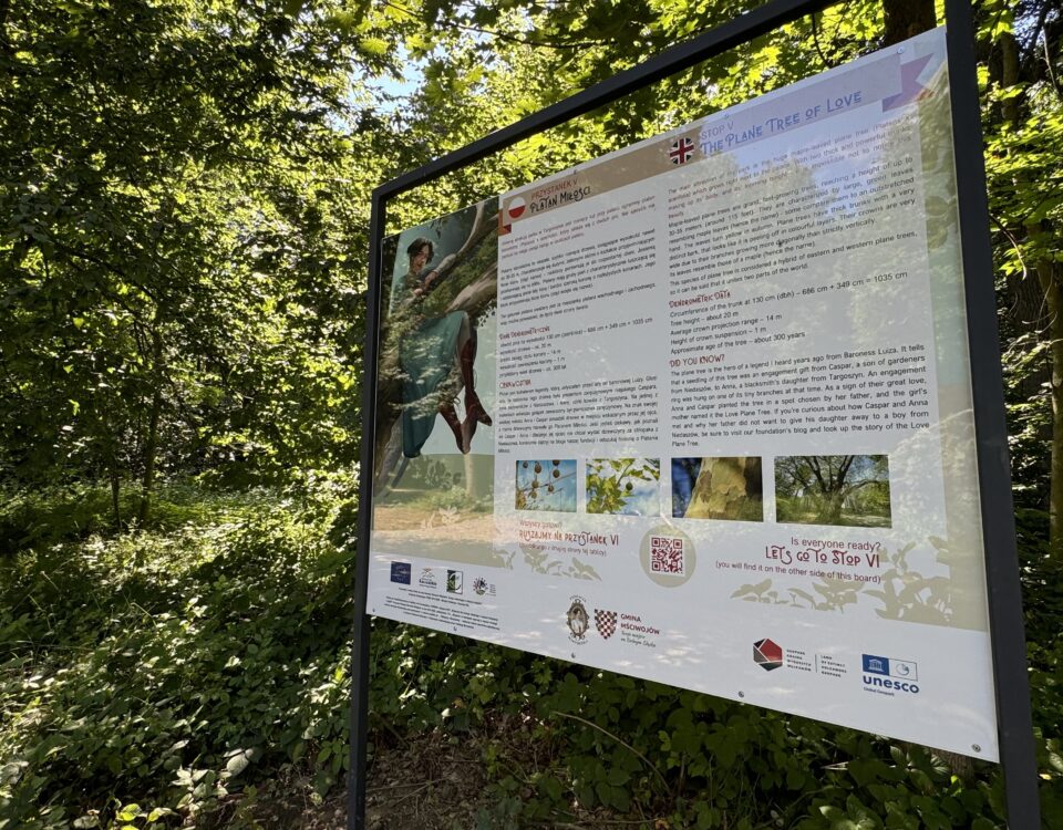 tablica na ścieżce edukacyjnej Pałac w Targoszynie