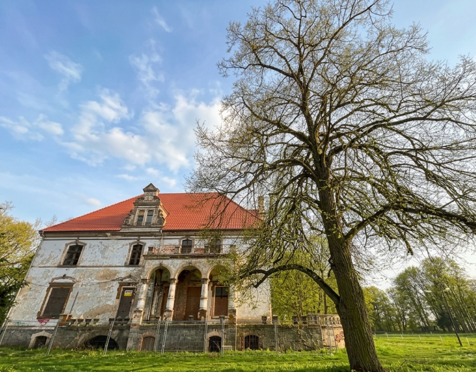 pałac w targoszynie widok obiektu wiosną