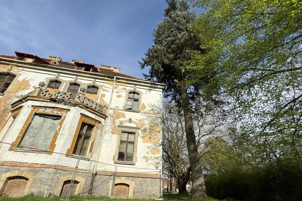 fragment fasady pałac w Targoszynie