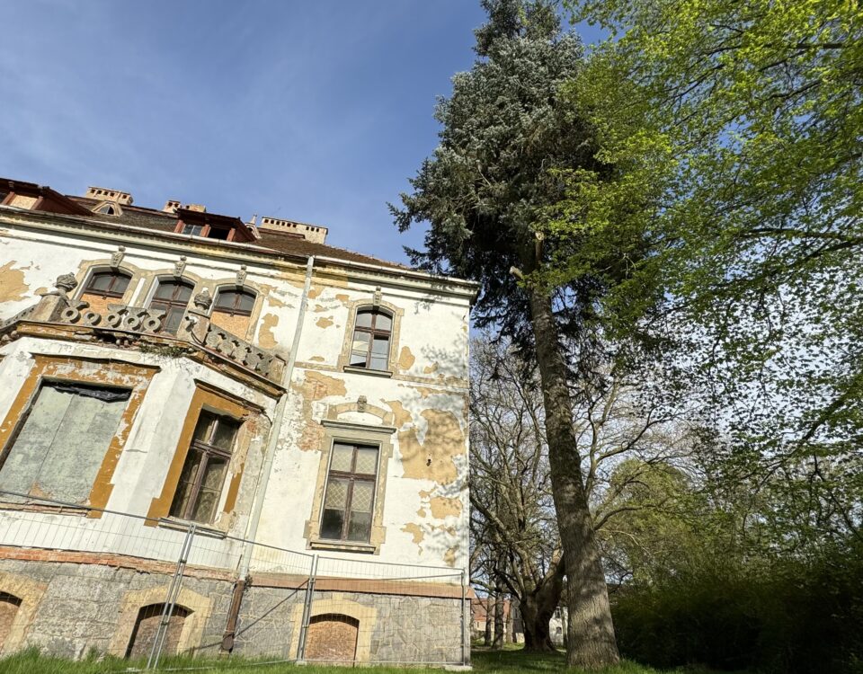 fragment fasady pałac w Targoszynie