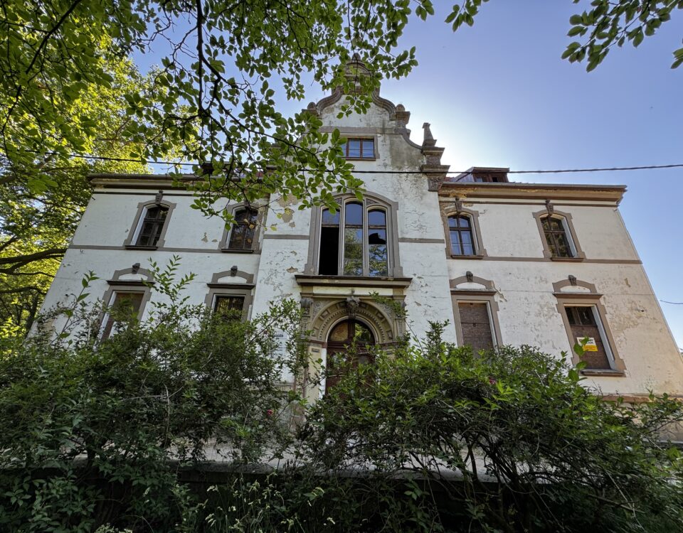 pałac w Targoszynie widok od frontu